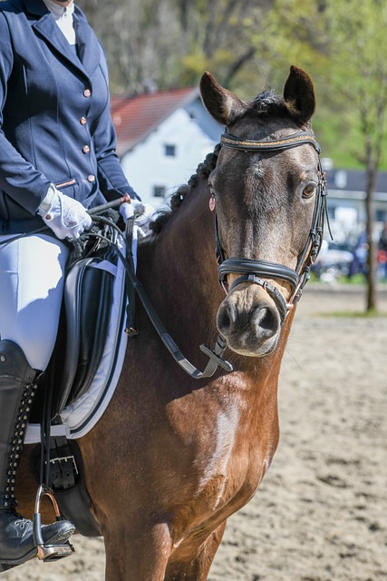 克罗斯长传 克罗斯长传