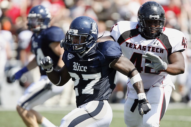 全球体育产 全球体育产