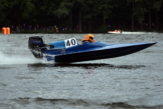 重要因素 重要因素