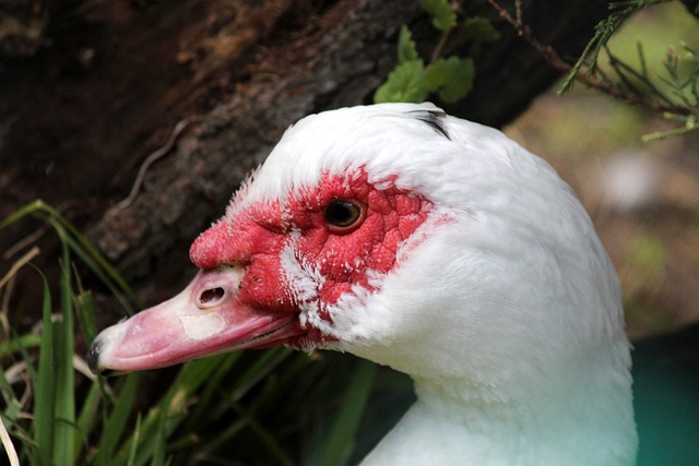 來製造空檔 來製造空檔