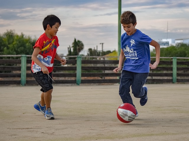 菲尼克斯太 菲尼克斯太