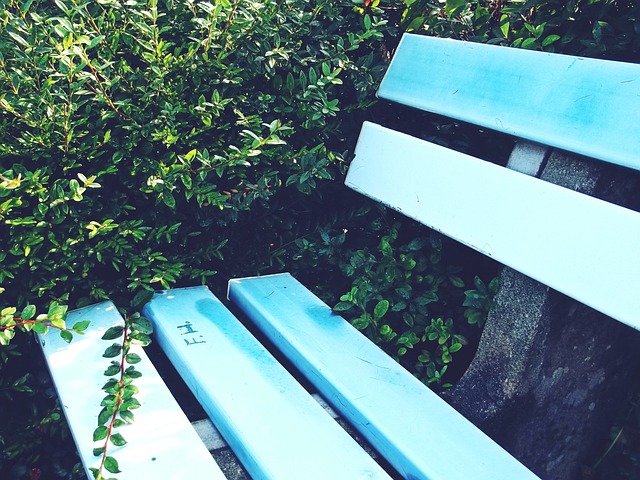 一位香港本 一位香港本