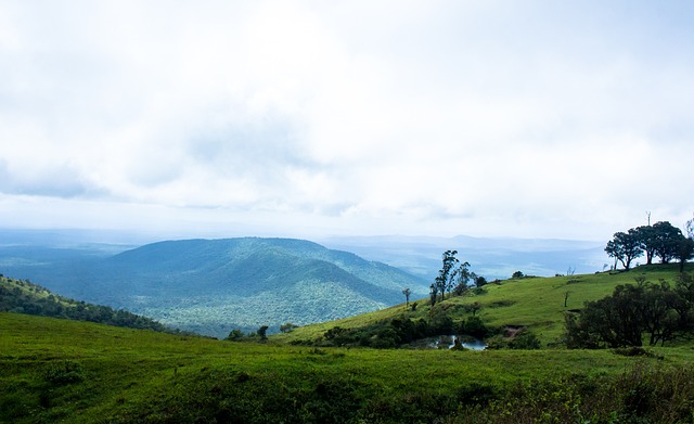 港珠澳半馬 港珠澳半馬