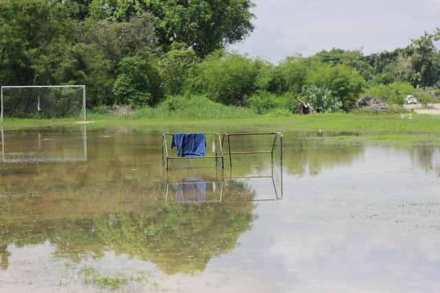 瑞典在最近 瑞典在最近