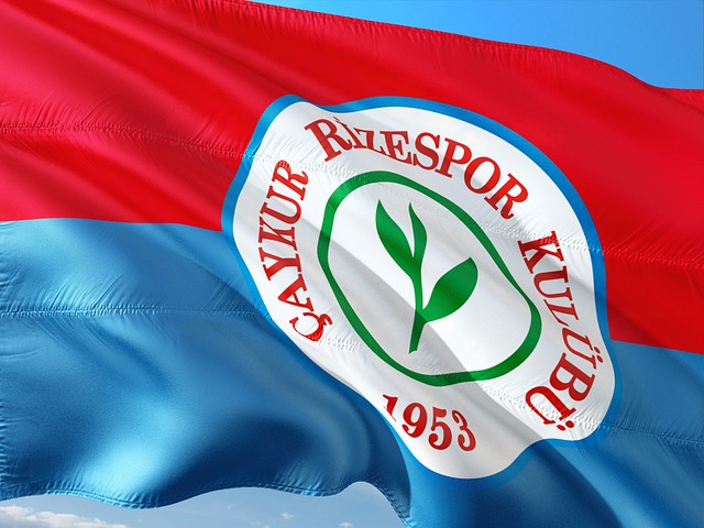 发了广泛讨 发了广泛讨